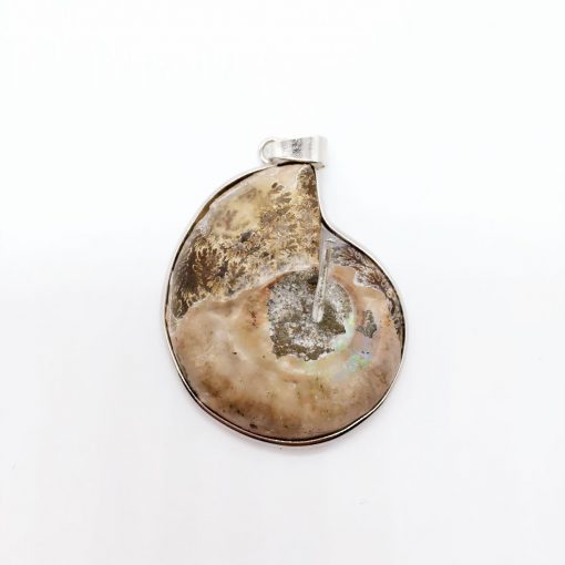 Natural Color Spiral Necklace Fossil Pendant Spot Color Conch Necklace Wholesale HYue-032