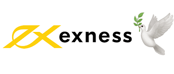 Comprehensive www exness com review Pros, Cons, and Everything in Between Comprehensive www exness com review Pros, Cons, and Everything in Between